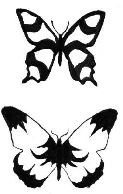 butterfly.jpg